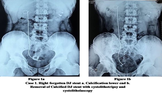 gju1009-figure1