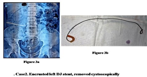 gju1009-figure3