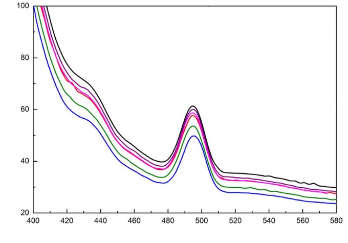 ijho1012_figure2