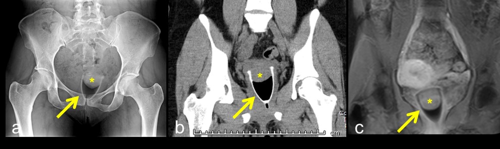 ojrmi1002-figure3